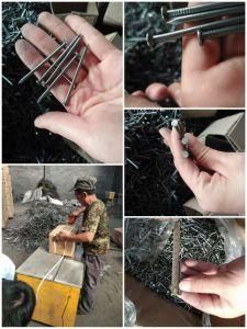 Nail Hardware Manufacturer in China Common Round Iron Nail