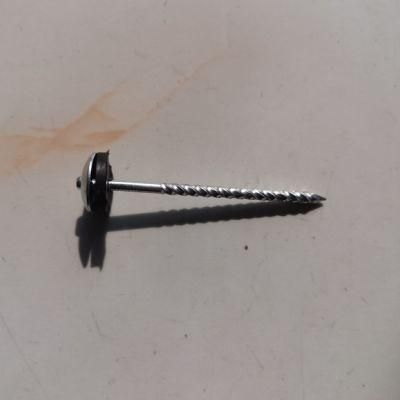 Guinea Congo Ethiopia Market/Best Price Twisted Nail/Common Nail