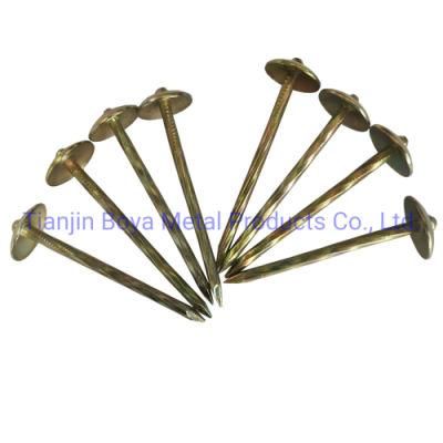 Clout Nails /Big Head Electro Galvanized Roofing Nails