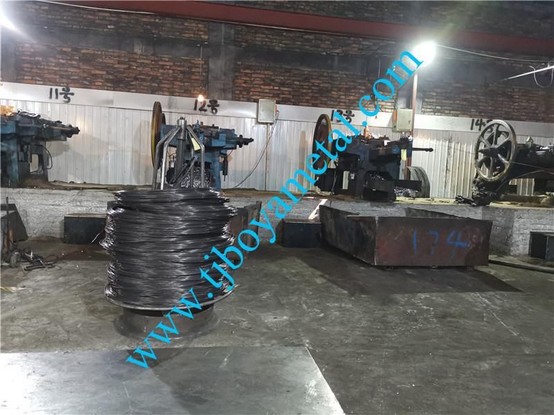 China Factory Premium Quality Building Materials Bright Polished Ring Shank Nail for Construction