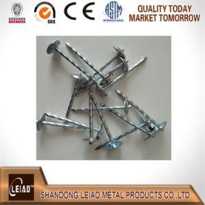 Competitive Price Professional Factory Umbrella Head Roofing Nails