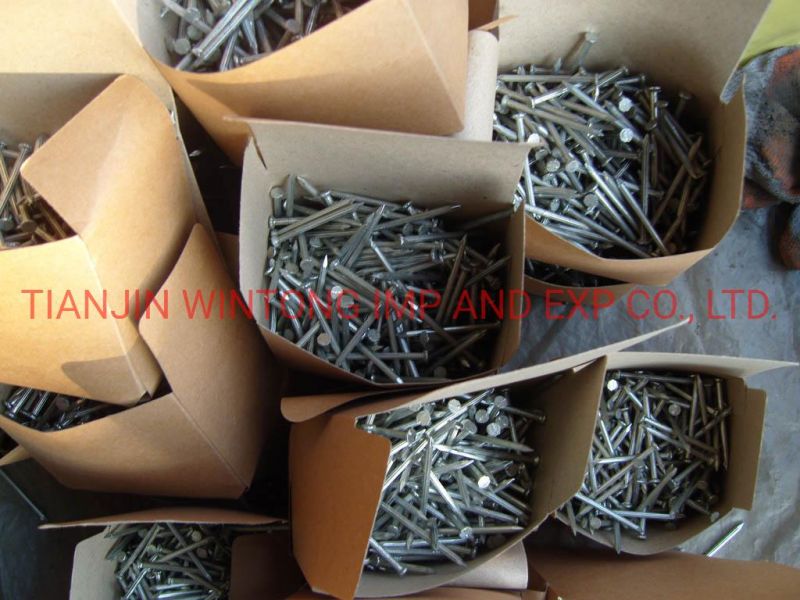 Common Polished Galvanized Iron Nail for Woodworking in Building Formwork