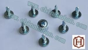 Screw/Self Drilling/Wafer Head Zinc Galvanized Self Drilling Screw