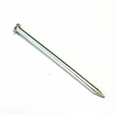 2&quot;-6&quot; Galvanized Common Nail (HONGLI Factory)