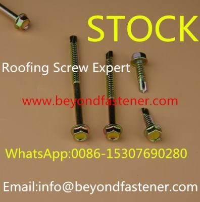 Roofing Screw Self Drilling Screw Bi-Metal Screw