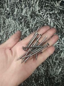 Factory Supply, Nail, Nails, Iron Nail