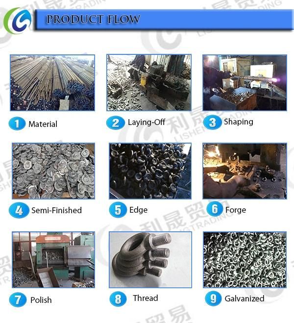 SS316 Ss 304 Eye Nut (JIS 1169/JIS1168) for Lifting Screw