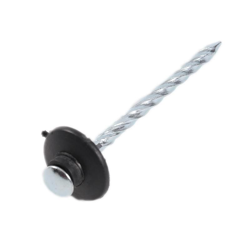 Umbrella Head Harden Electric Halvanized Roofing Nail