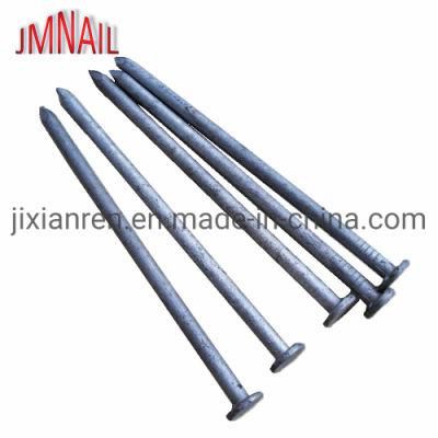 Q195/Q235 Factory Price, Full Range and Fast Delivery Iron Nail