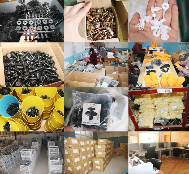 Factory Supply Auto Plastic Clips and Car Body Fasteners