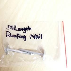 Free Sample Umbrella Roofing Nail