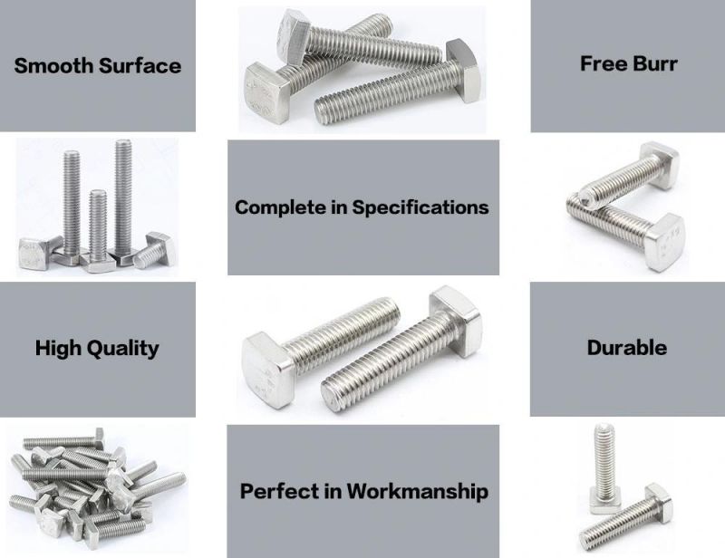 DIN 186 Class 8.8 Stainless Steel T-Bolt A2-80 Hammer Head Forged T Bolt Square Flat Head Bolts Galvanized T Shape Bolt in Carbon Steel Full Threaded Bolt