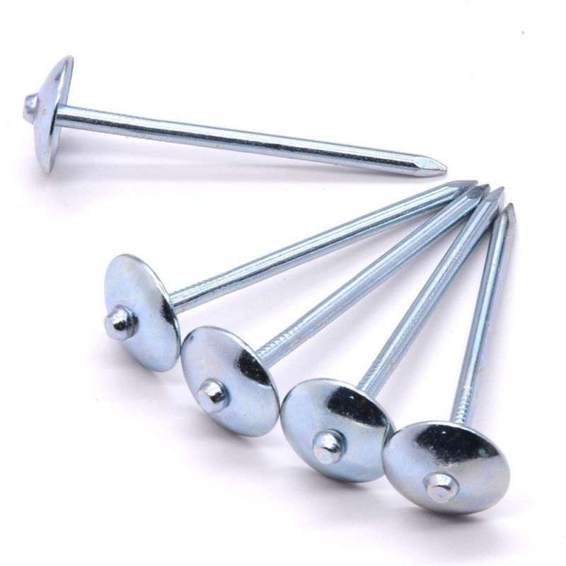 Zambia Namibia Market/Excellent Sales Iron Roofing Nails Corrugated Iron Nails 1 1/2 Inch