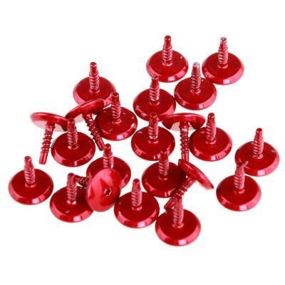 Custom Colored Pan Head Plated Special Shaped Screw