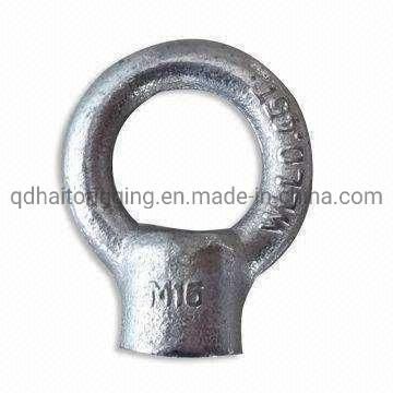 High Quality Stainless Steel /Carbon Steel 304 Eye Nut Form Qingdao Haito