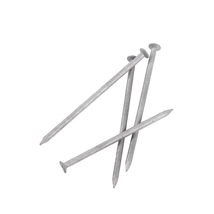 China Factory Common Polished Nails, Wooden Nails, Iron Wire Nails for Africa Market