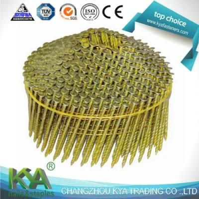 Galvanized Screw Shank Wire Conical Coil Nails