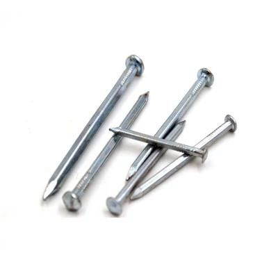 Thailand Laos Vietnam Philippines Singapore Market/Electro Galvanized Square Boat Nails