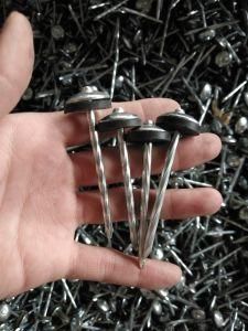 Hot Sell Roofing Nails with Rubber Washer