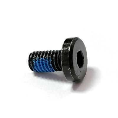 Fully Threaded Low Profile Socket Head Cap Screws with Blue Nylon Patch