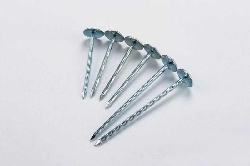 China Factory Supply 9gx2" Electro Galvanized Umbrella Roofing Nail with Good Performance