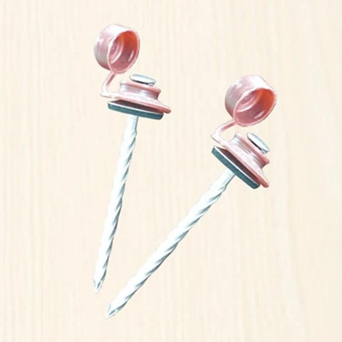 Plastic Cap Twist Shank Nails