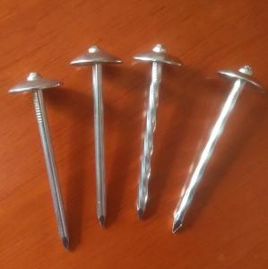 Linyi Factory 2.5X9g Umbrella Head Roofing Nail