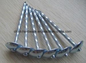 Q195 Steel Galvanized Roofing Nails From Factory