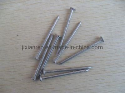 20d (3&quot;) Hot Dipped Galvanized Box Nails