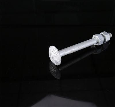 Big Round Head Bolt HDG Carriage Bolt with Nuts