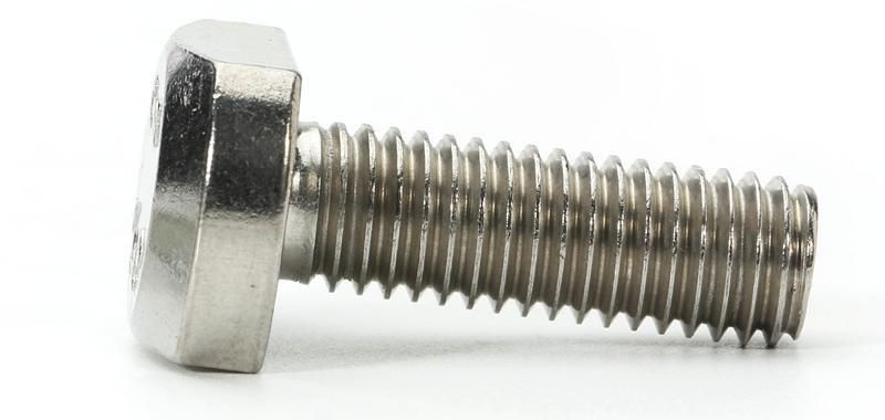 Customized SS316 Stainless Steel T Head Bolt Machine Hammer Screw