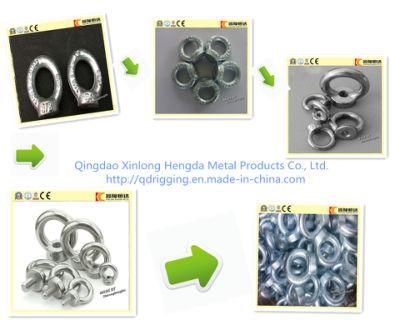 Lifting Forged Eye Nut with Hot Galvanized