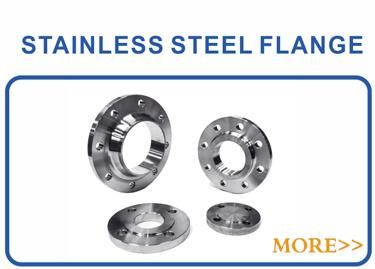 Flange DIN Pn10 Pn16 Plate RF SUS304 316 Stainless Steel