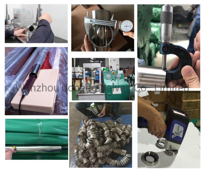 Stainless Steel Thread/Clamp Hose Ferrule Pipe Adapter