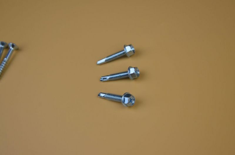 Special Screw/Screw/Fastener/Bolts
