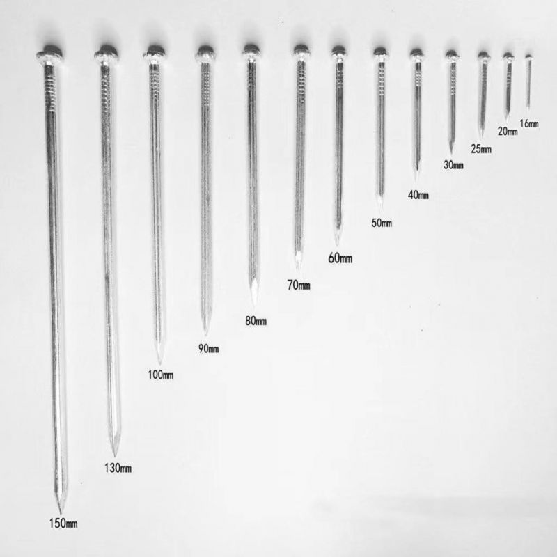 1/2"-6" E. G Concrete Nails/Steel Nails /Hard Nails/ Masonry Nails
