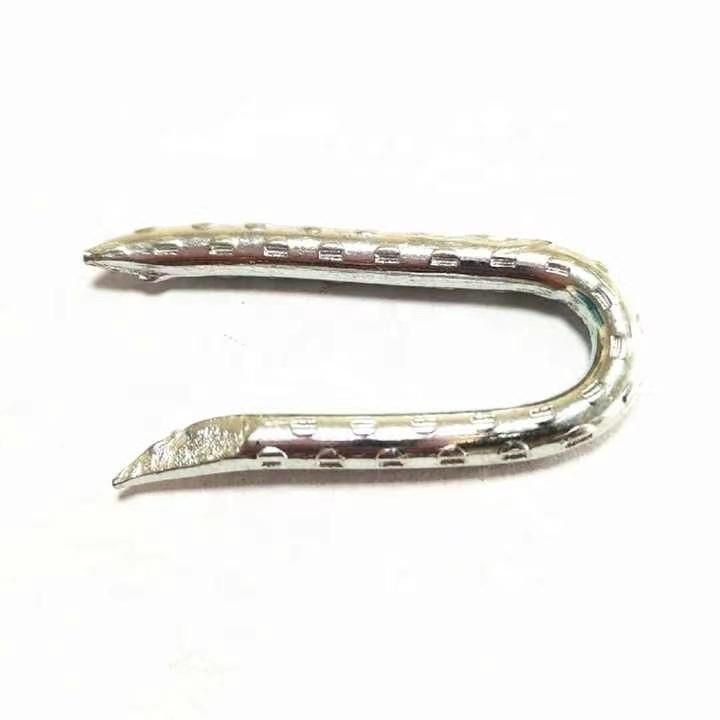 E. G U Staple /Fence Staple/ U Nail/ Wood Nail
