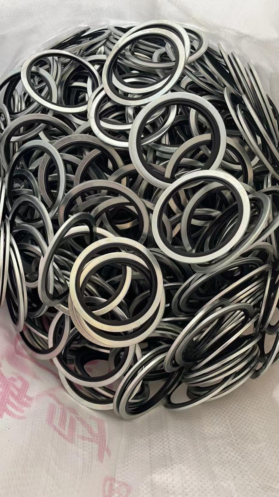 High-Quality Bonded Seal Washer Ring Seal M21