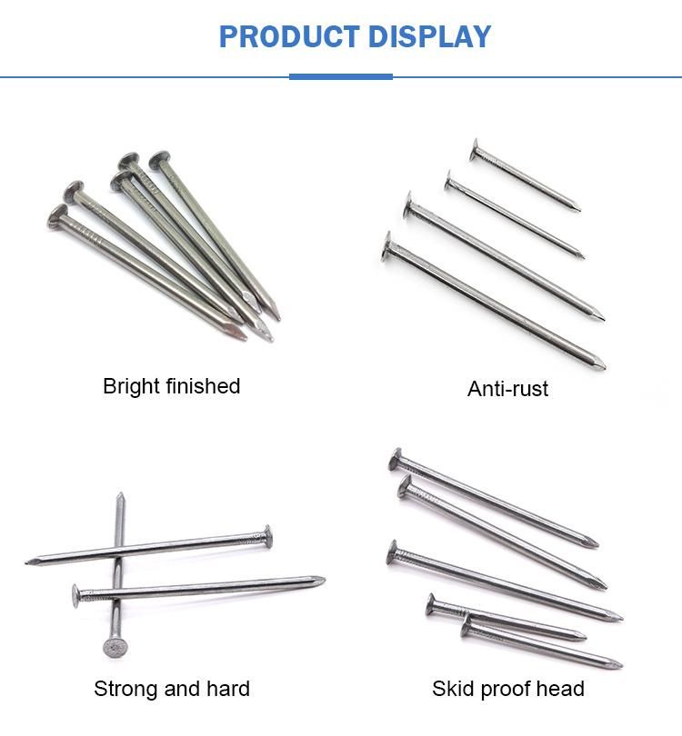 Building Common Wire Nail Construction Common Nail Iron Nails Factory