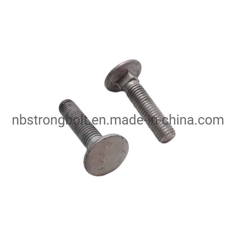 Carriage Bolt DIN603 with HDG