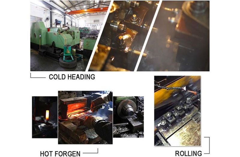 Cheap Price Carbon Steel/Galvanized/HDP/Zinc Plated U Bolt/Hex Bolt/Anchor Bolt/Flange Bolt/Heavy Hex Bolt 4.8 5.8 6.8 8.8 U Bolt and Nut A2-70 U-Bolt