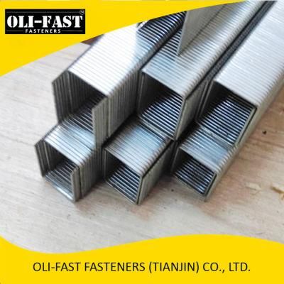 Bostitch 84 Series Staples 12.4mm Crown Staples, 84 Staples