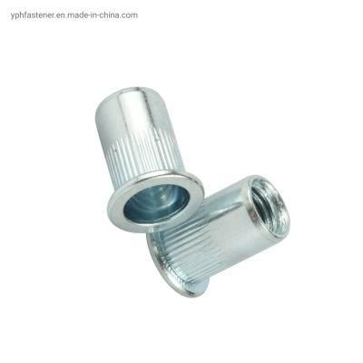 Customized Sale Well Galvanized Carbon Steel Rivet Nut