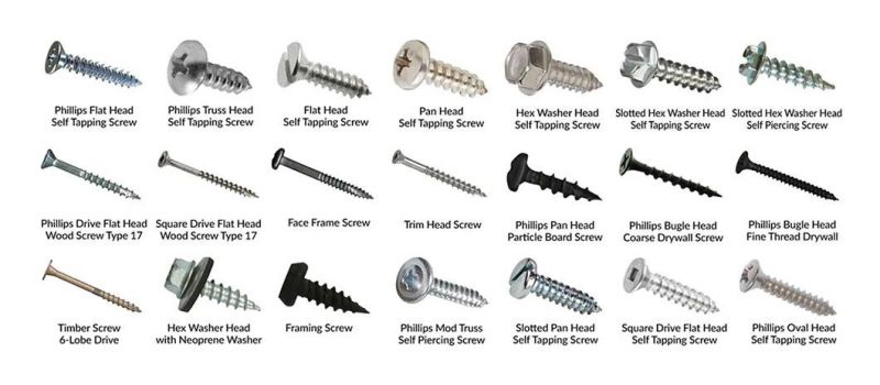 Metric Drywall to Drywall Black Chipboard Screw Phosphate Screw