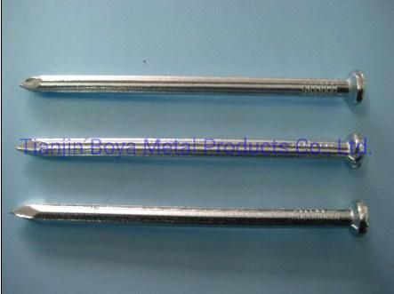 Factory Direct Common Iron Nail / Concrete Nail with Best Quality and High Quality