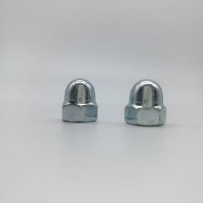 Stainless Steel SS304 Cap Nut Cap Nut