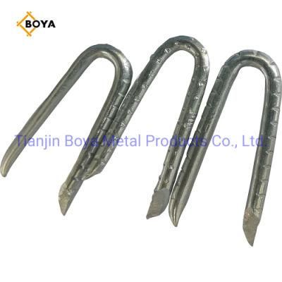 U Type Nail with Galvanized and Polished