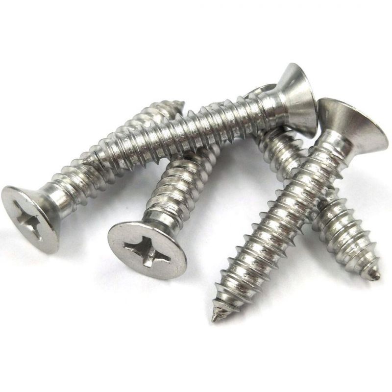 DIN7982 Phillip Flat Head Round Head Countersunk Head Self Tapping Screw. Stainless Steel 304