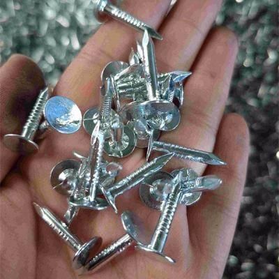 China Direct Factory Sale Large Head Roofing Nails Flat Clout Nails, Cupper Nail