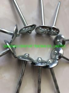 Good Quality Galvanized Roofing Nails with Smooth and Twisted Shank